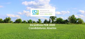 CANDIDATURAS